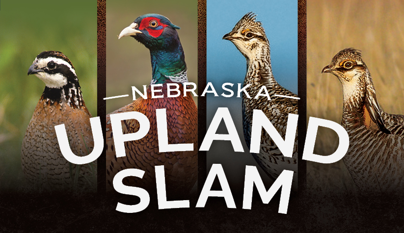 Upland Slam